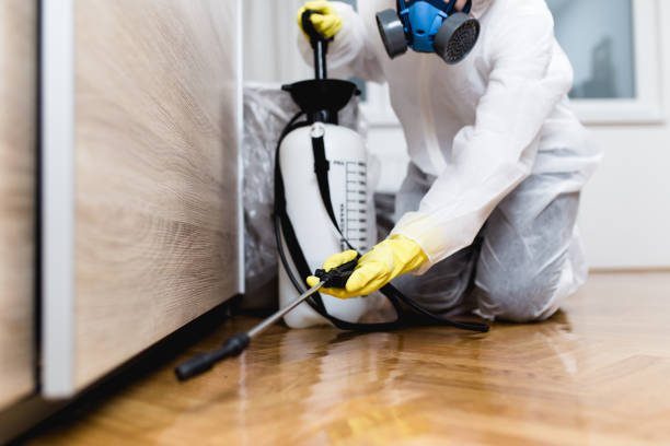 Best Wasp Removal Services  in Crockett, CA