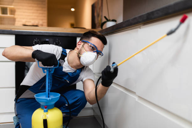 Best Pest Prevention Services  in Crockett, CA