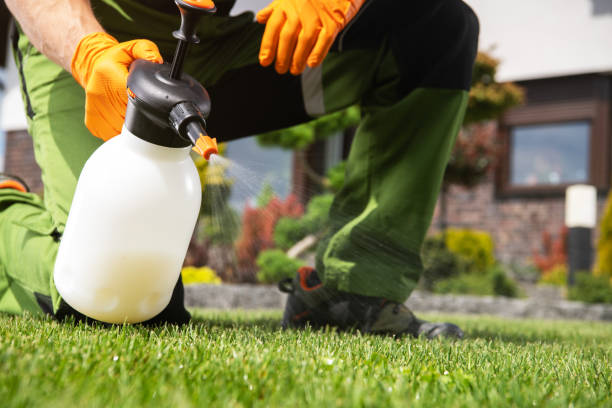 Reliable Crockett, CA Pest Control Solutions