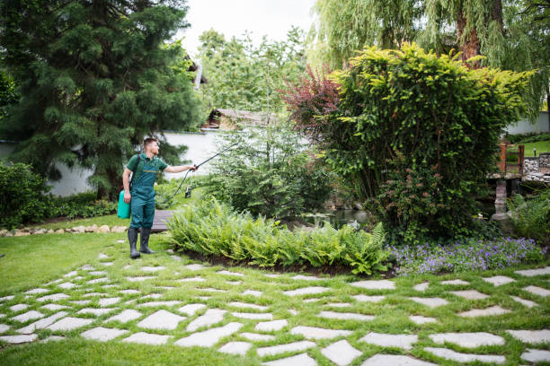 Best Emergency Pest Control  in Crockett, CA