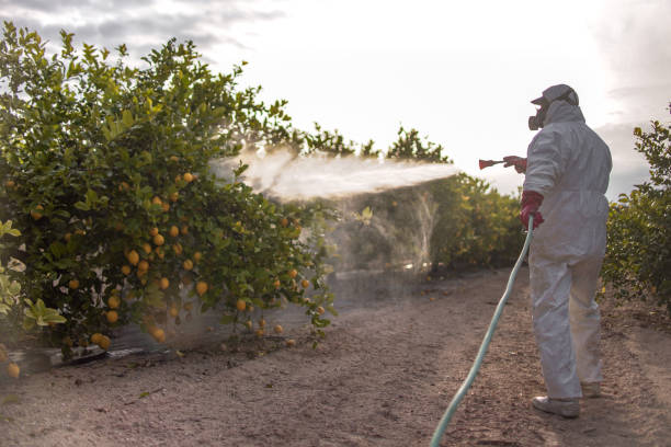 Best Best Pest Control Companies  in Crockett, CA