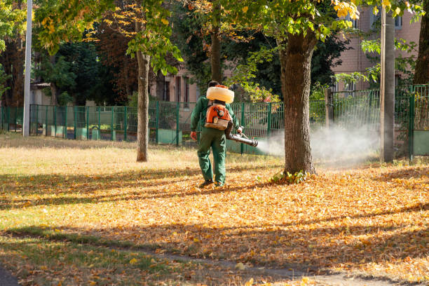 Best Spider Control Near Me  in Crockett, CA