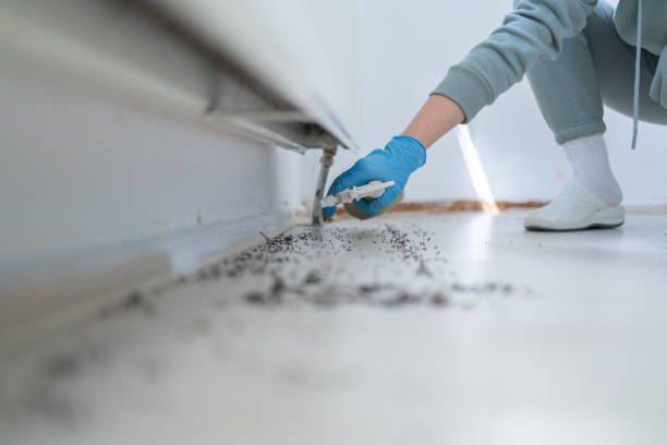 Best Wildlife Control Services  in Crockett, CA