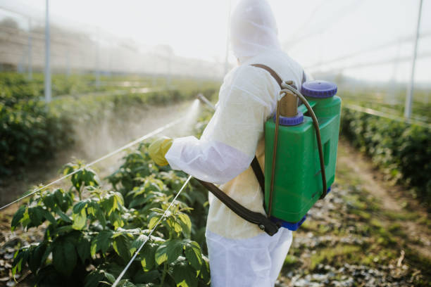 Best Pest Control Near Me  in Crockett, CA
